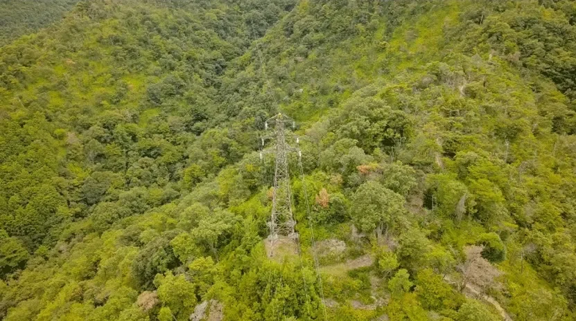 送電線を無人巡視するSkydio X10が撮影した画像