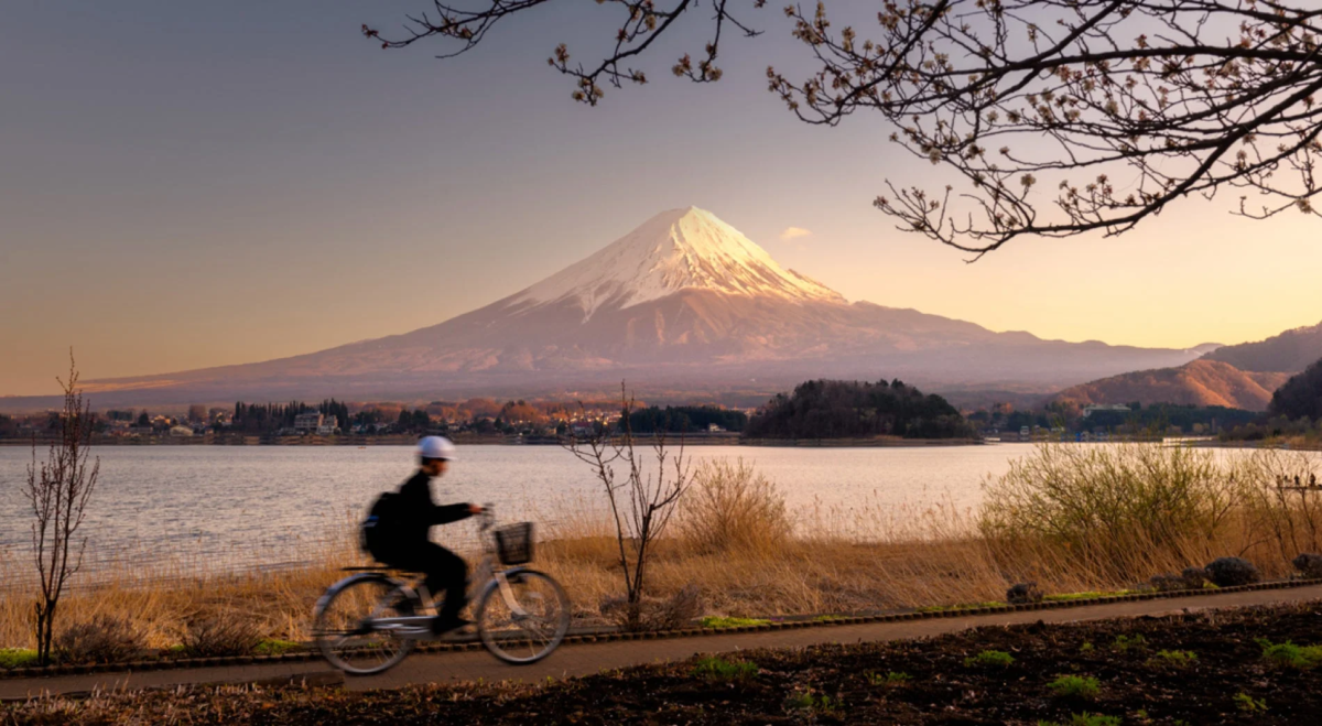 雪を冠した雄大な富士山を背景に、湖畔の小道を自転車に乗る人が進む美しい風景