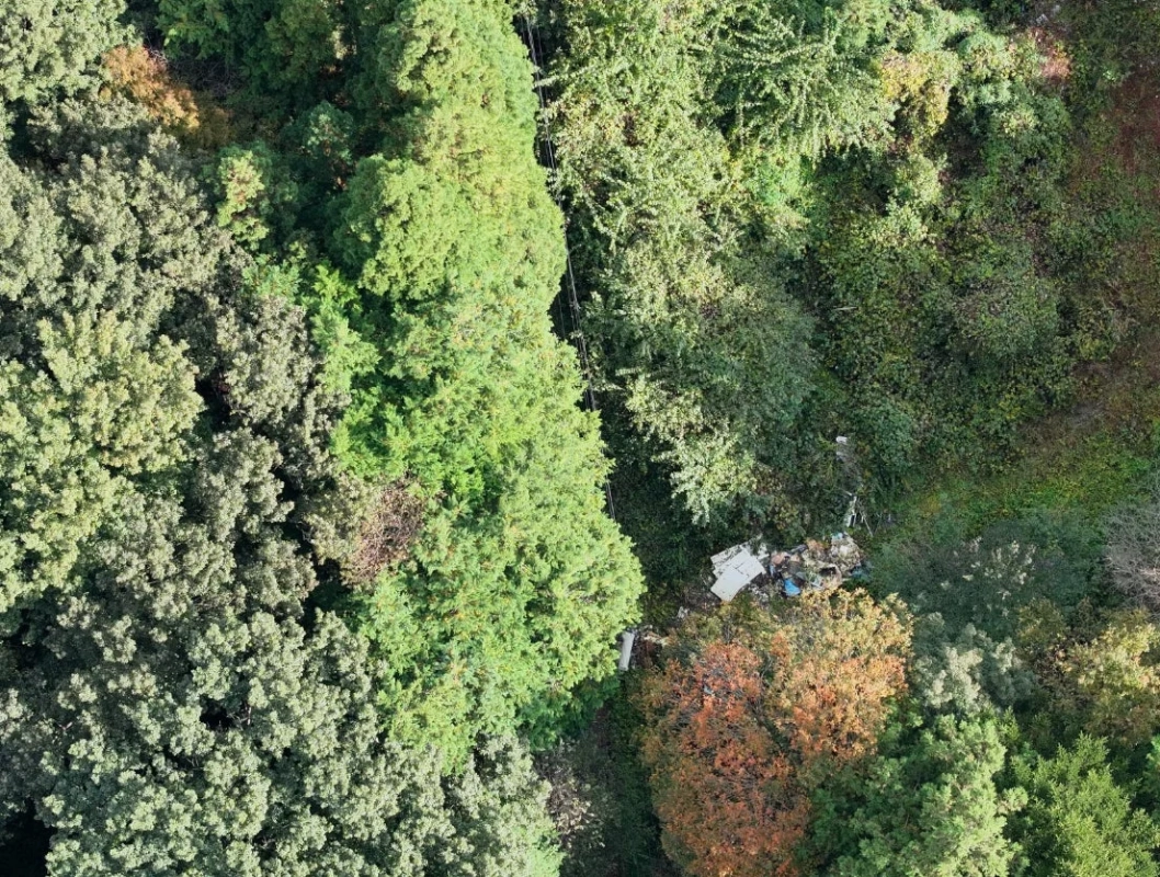 緑豊かな森林地帯に不法投棄された廃棄物