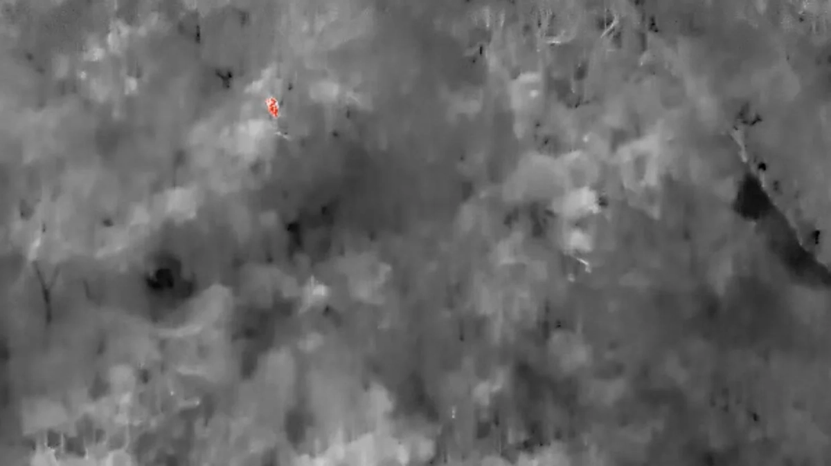 主にモノクロの赤外線画像で、複雑な背景テクスチャの中に小さな赤い点が強調されています