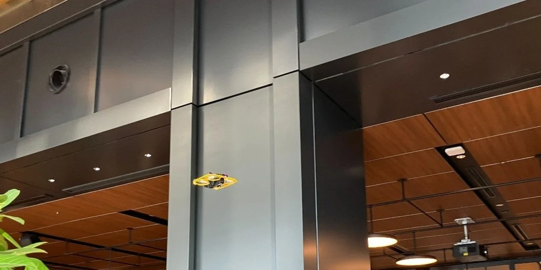 IBIS2のデモフライト