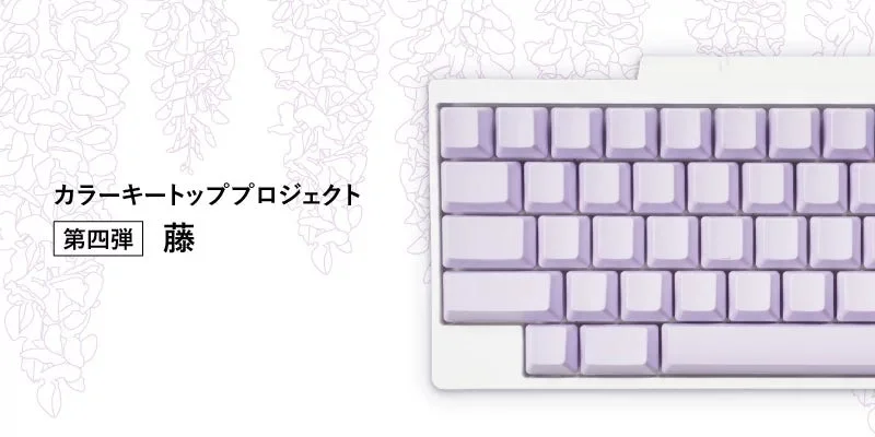 カラーキートップセット「藤」