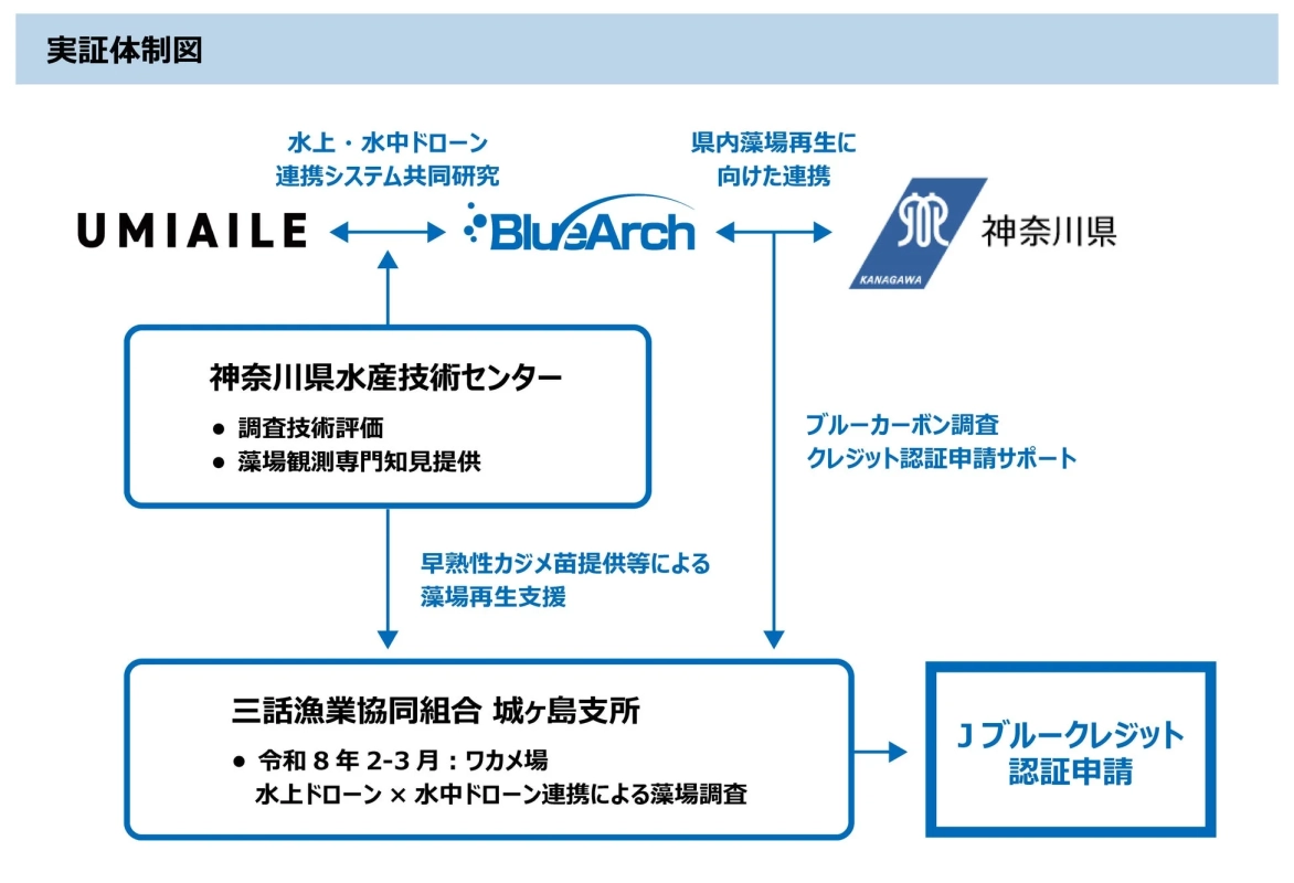 神奈川県における藻場再生とブルーカーボンに関する実証体制図