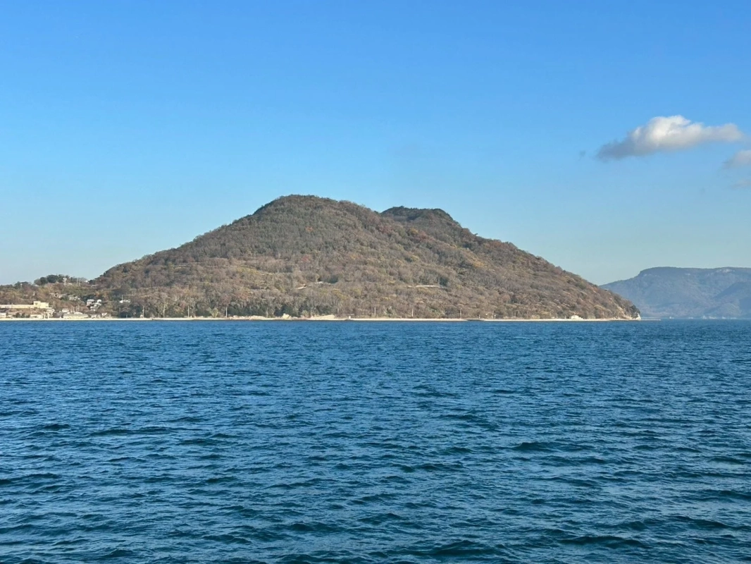 青い海と、木々で覆われた大きな島