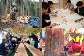 林業と木材加工の様子