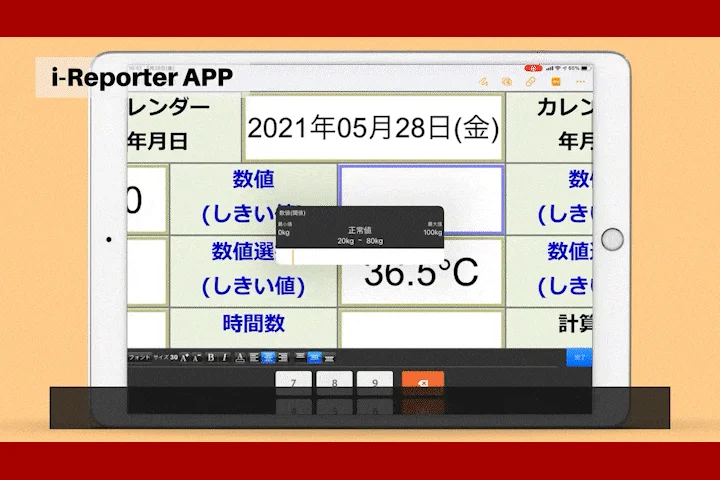 i-Reporterのデータ入力画面
