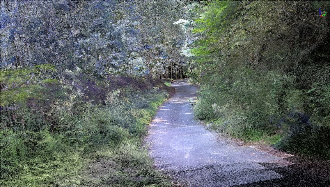 森の点群データ