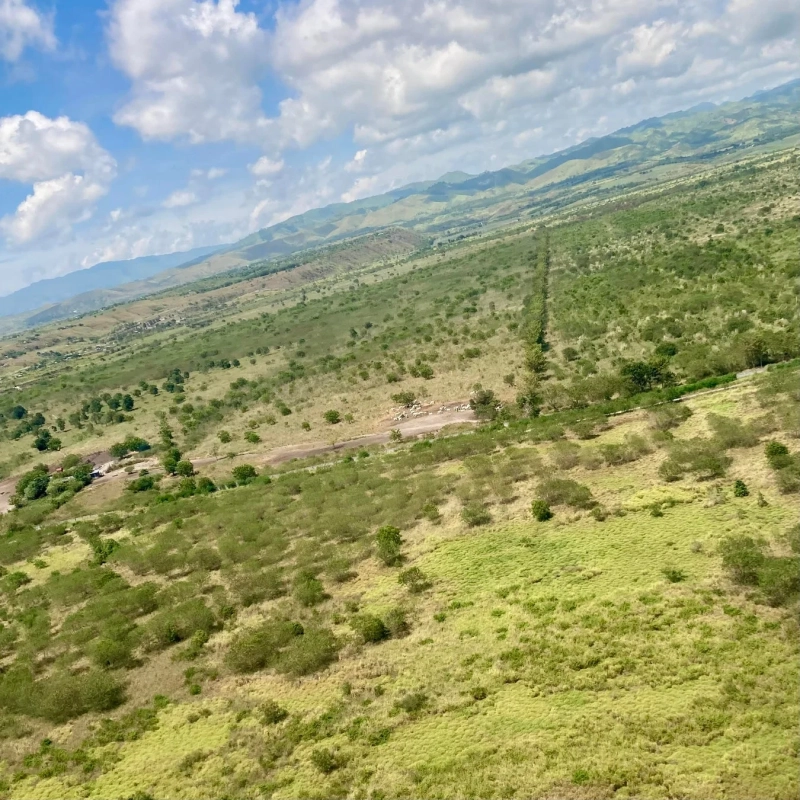 広大な緑の丘陵地帯が広がり、遠景には山々が見える航空写真です。白い雲が浮かぶ青空の下、低木や草地が点在し、自然豊かな風景が広がっています。