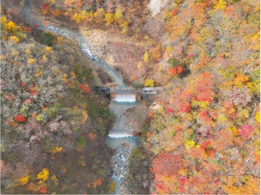 空撮された秋の渓谷の景色です。色鮮やかな紅葉に囲まれた川が流れ、途中に2つの小さな堰が見えます。