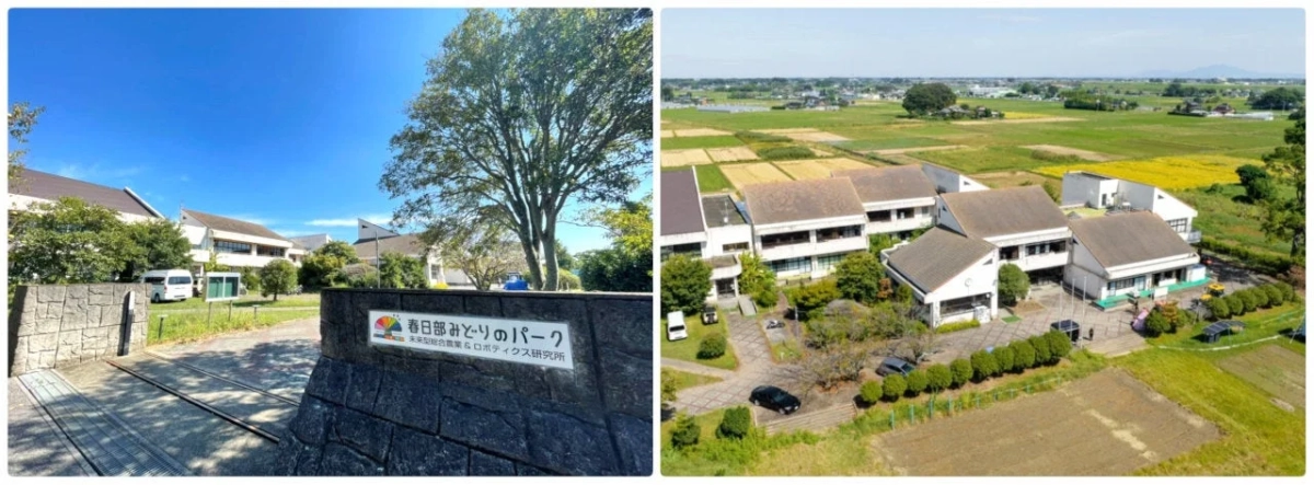 春日部みどりのPARK