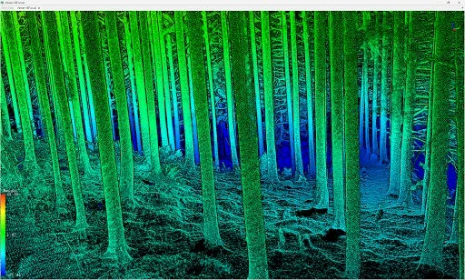 森林の3D点群データ