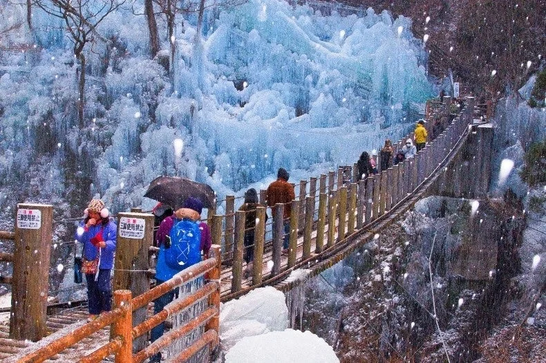 冬景色と吊り橋