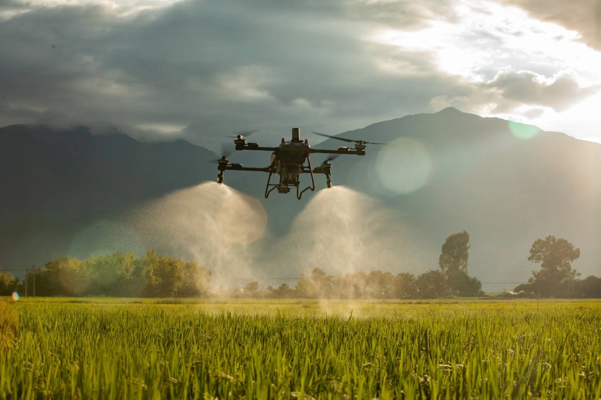 水田で散布する農業用ドローン