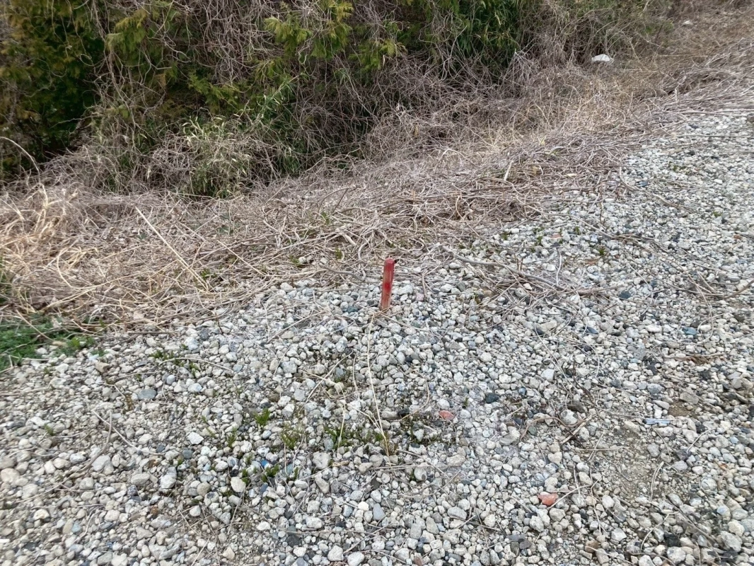 赤い杭が立つ土地