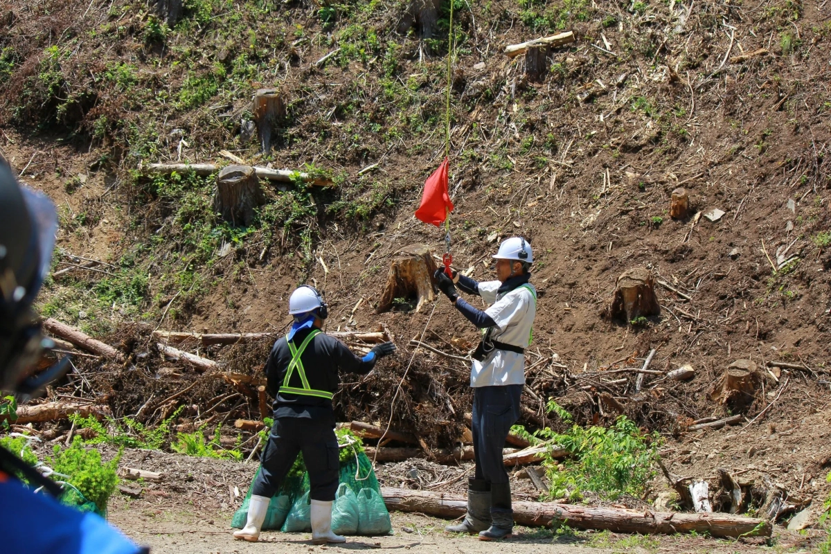 山腹で作業する林業作業員
