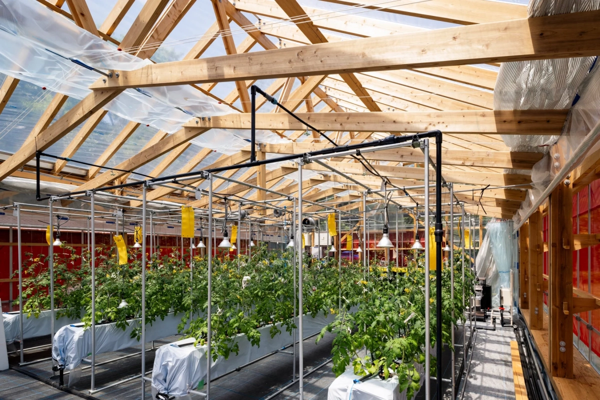 温室内部の水耕栽培設備