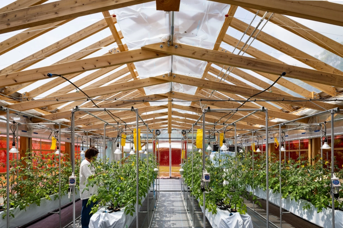 温室内部で植物の手入れをする様子