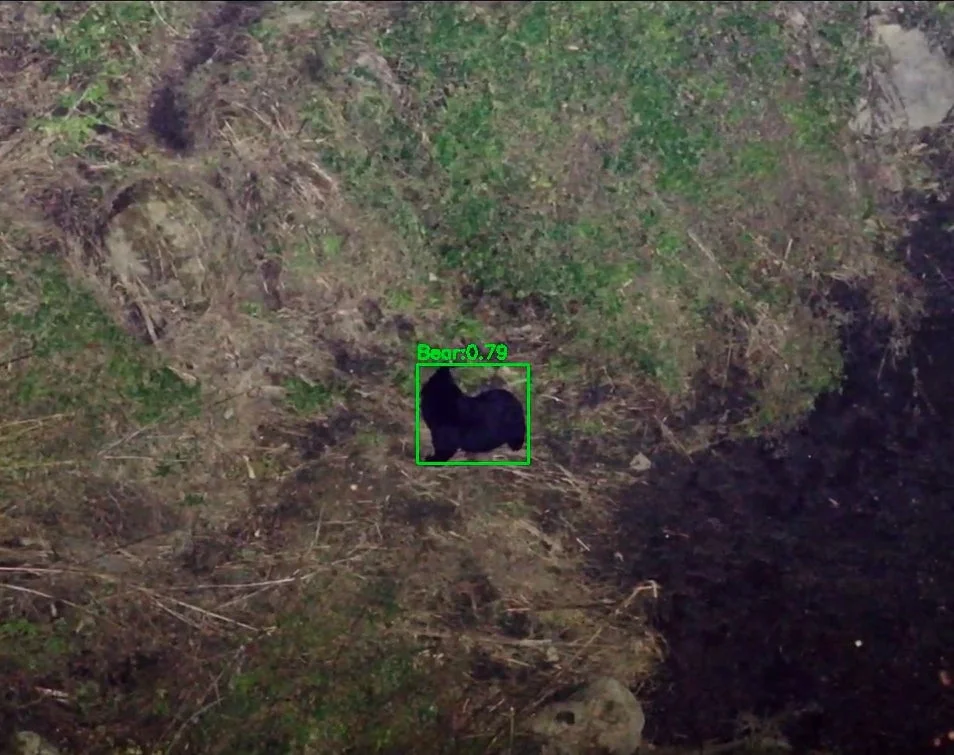 ドローンによる熊検出の画像