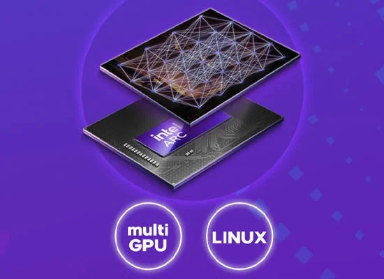 LinuxマルチGPUイメージ