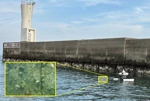 灯台と防波堤、海中イメージ