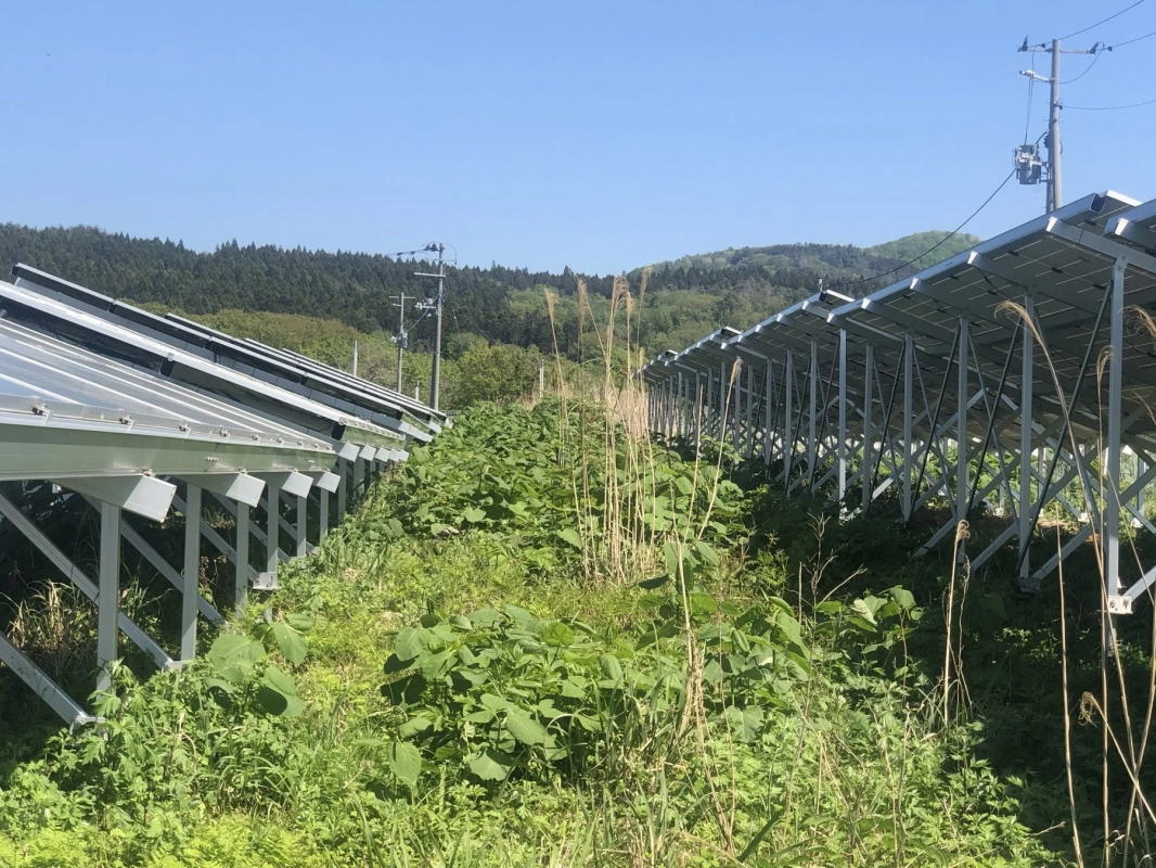 太陽光発電所全体