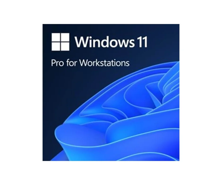 Windows 11 Pro for Workstations