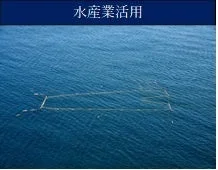 水産業活用
