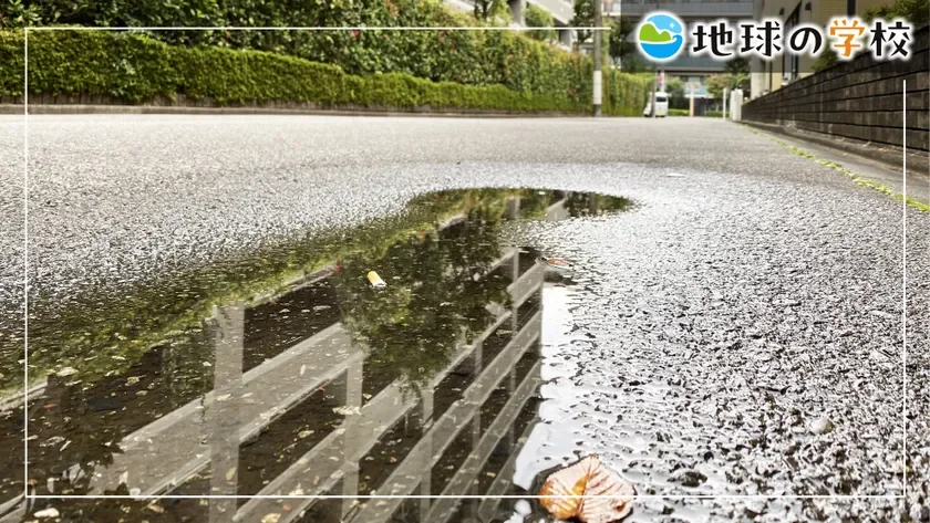 雨上がり,水たまり,アスファルト,道,反射,落ち葉,街路,自然,風景