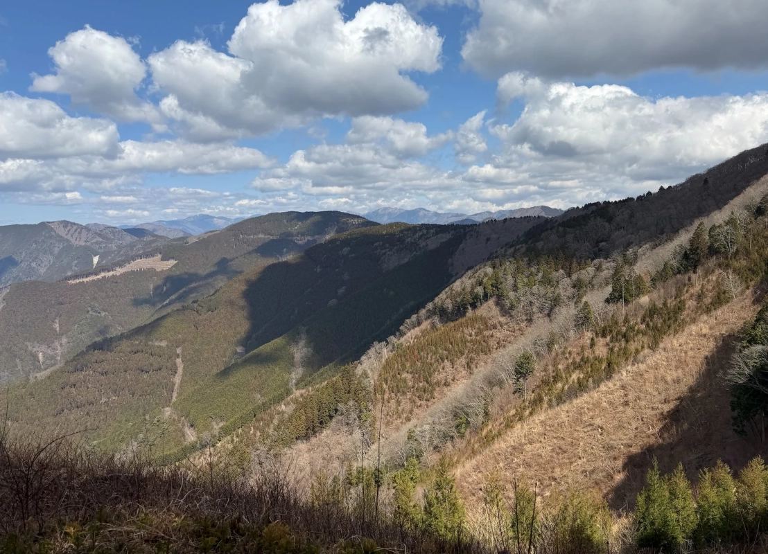 山と森林の風景