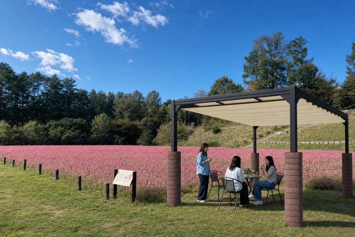 ピンクの花畑の横でくつろぐ女性たち