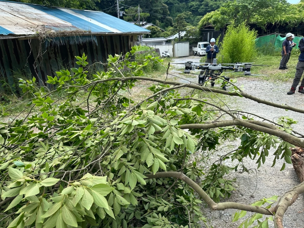 伐採木とドローン、作業員