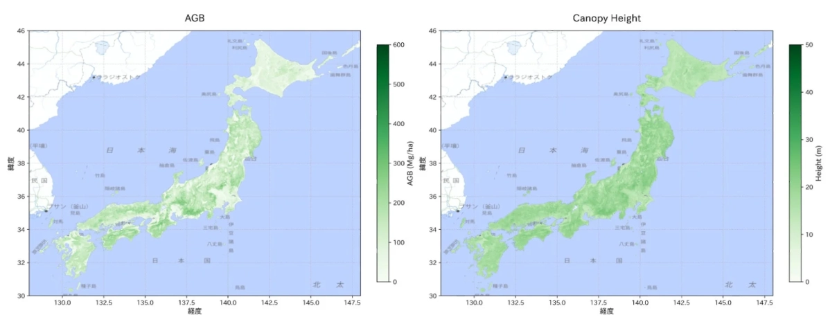 日本全国の地上部バイオマスと樹冠高の分布
