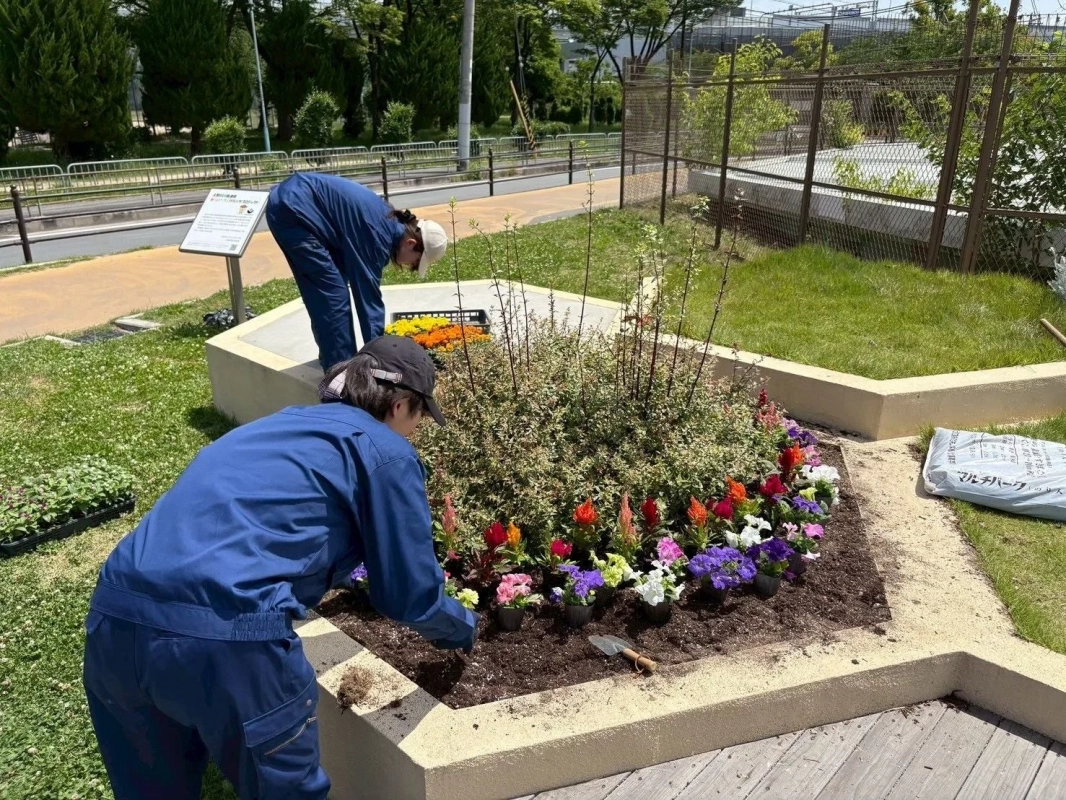 花壇に花を植える学生