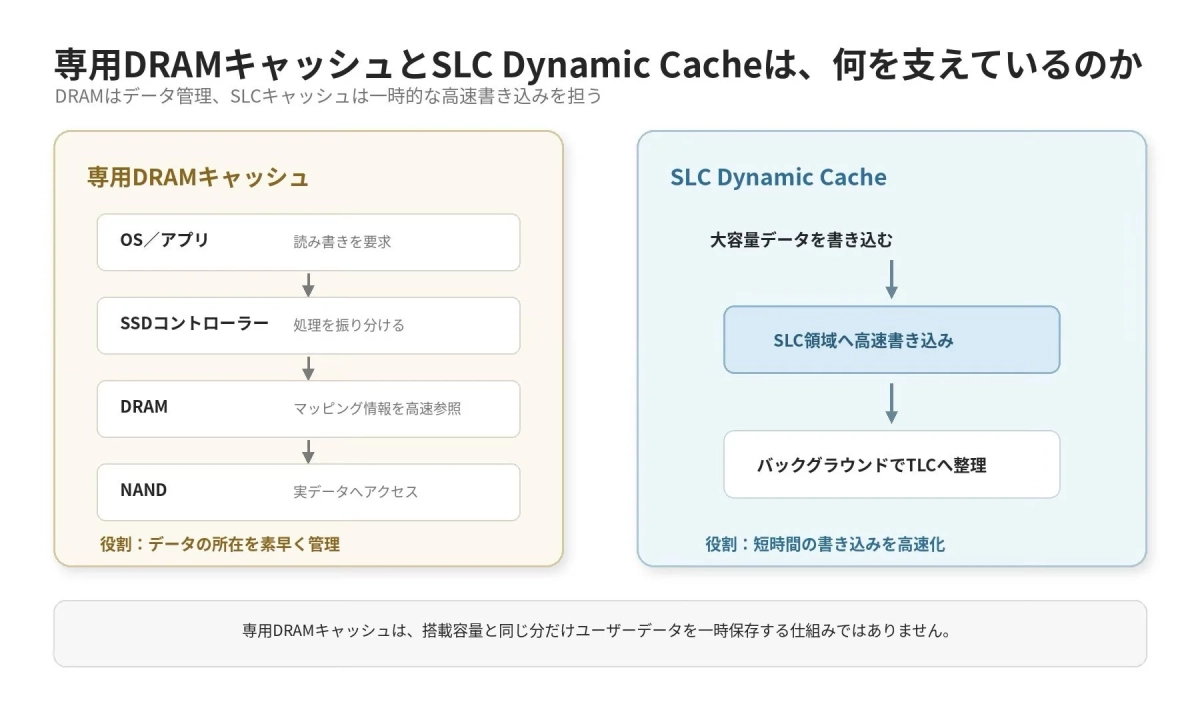 専用DRAMキャッシュとSLC Dynamic Cacheの機能と役割