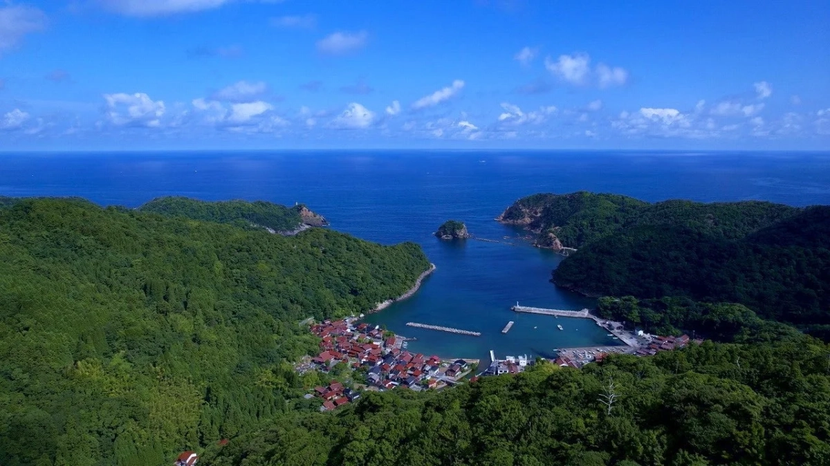 空撮の集落と湾の風景